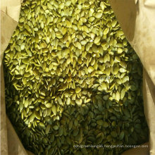 Pumpkin Seeds Kernels Best Price New Crop